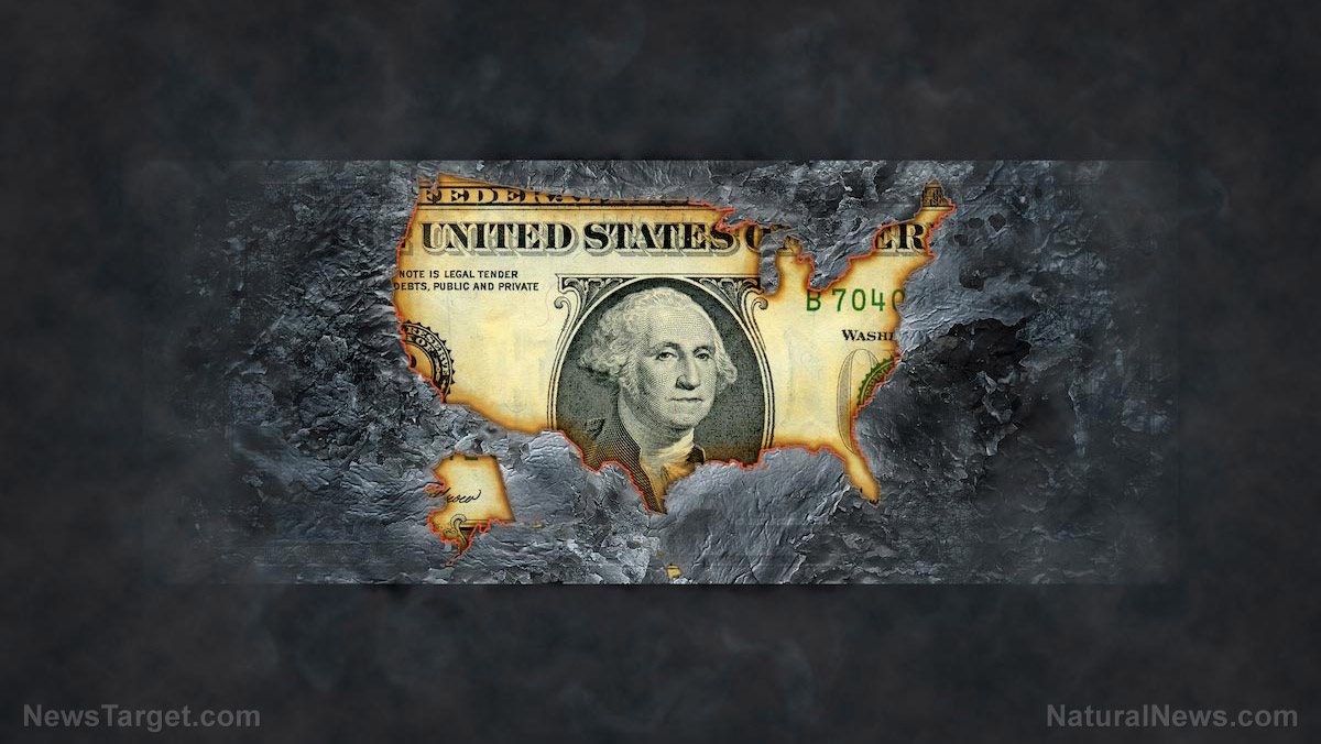 Image: Andy Schectman warns: Collapse of dollar reserve will mark the start of Great Reset