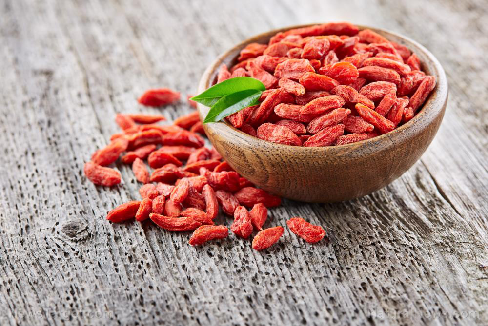 Image: Study suggests compounds in goji berries can boost eye health