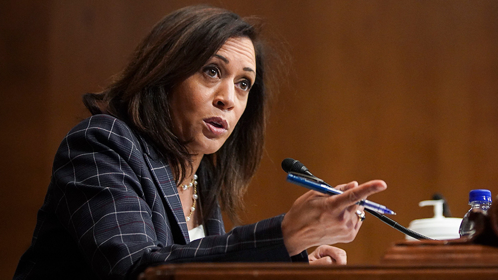 Image: Kamala Harris wants to export California’s disastrous renewable energy model to the entire country