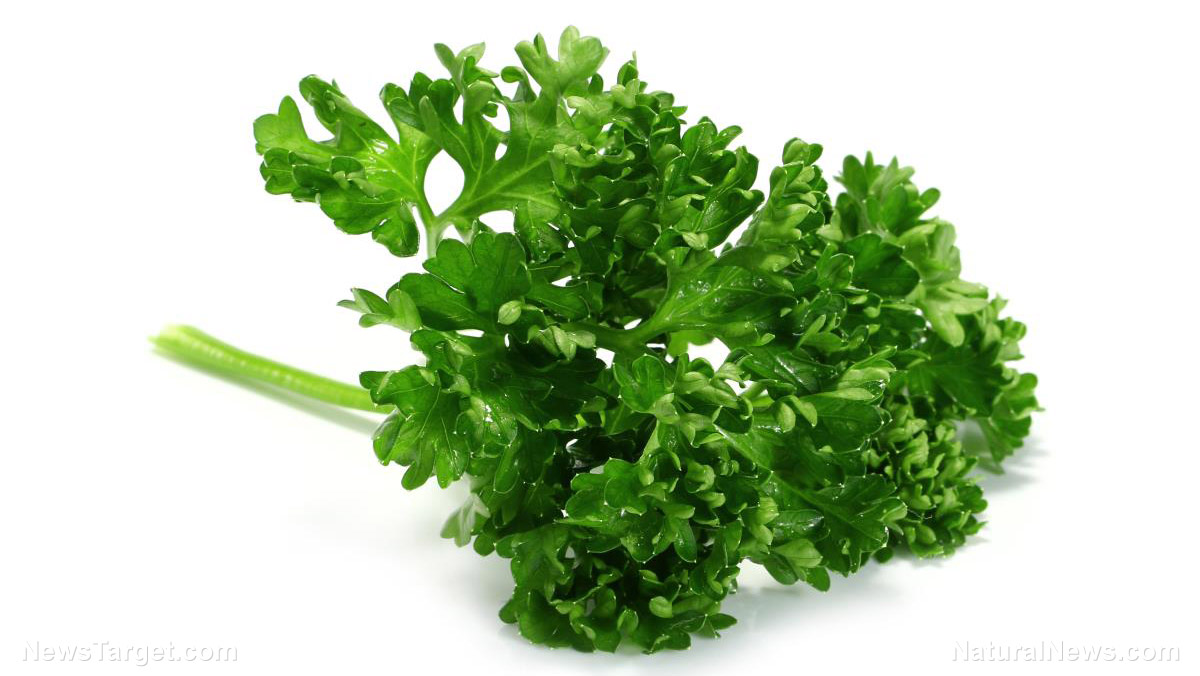Image: Study shows apigenin, a compound in parsley, offers cancer-fighting benefits