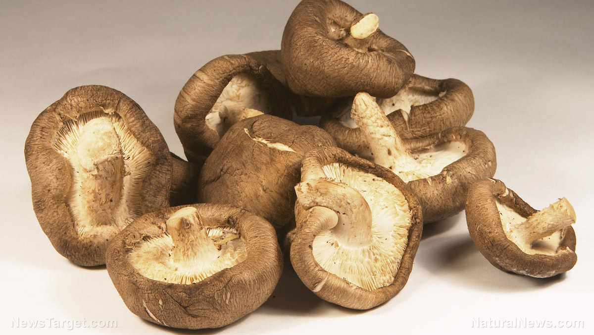 Image: Mushrooms found to be a potent source of key antioxidants