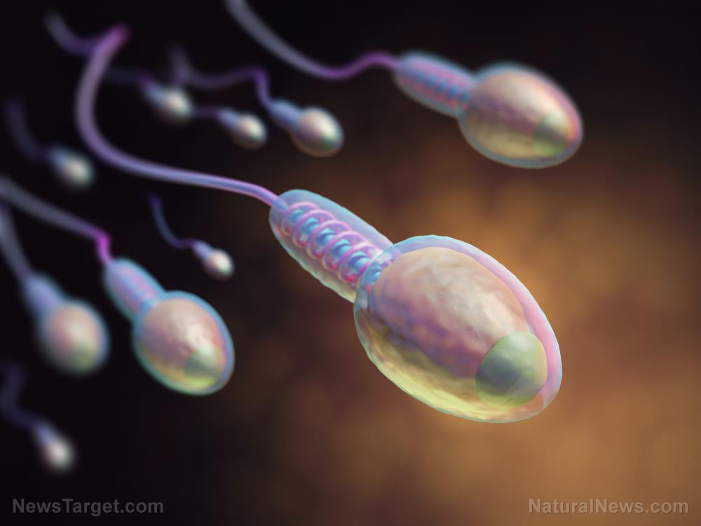 Image: Study: COVID “vaccines” are devastating men’s sperm counts