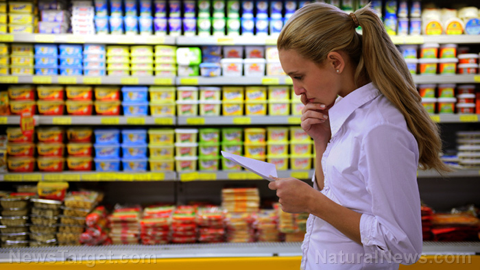 Image: CREEPY FOOD SURVEILLANCE: Norway launches new monitoring scheme to track all food purchases of private citizens