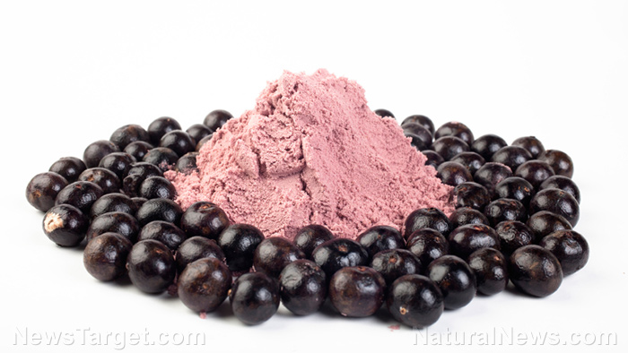 Image: Polyphenols in acai found to have a prebiotic effect that boosts digestive health