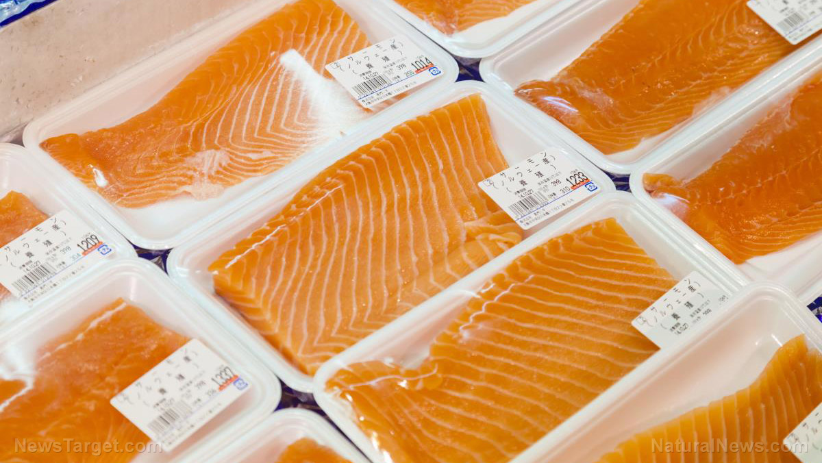 Image: Toxic farmed salmon linked to higher risk of diabetes, obesity