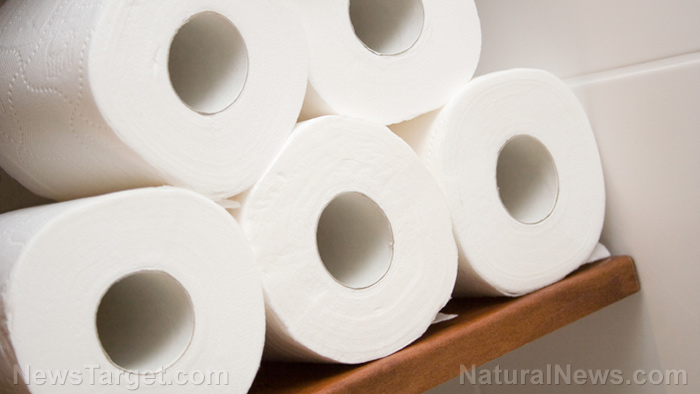 Image: Germans warned of toilet paper SHORTAGE as energy crisis forces paper mills to shut down