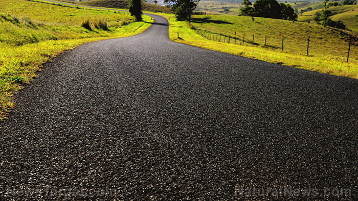 Image: Plant-based ROADS? Iowa researchers to pave roads using soybeans and recycled asphalt