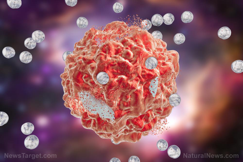 Image: Studies attest to quercetin’s ability to kill cancer cells