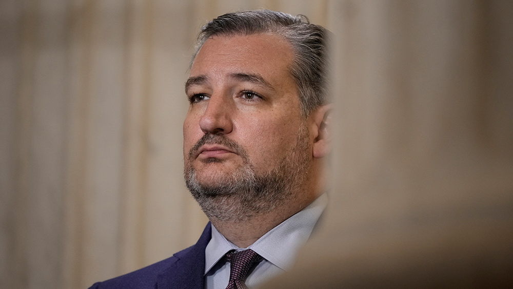 Image: Video: Ted Cruz questions clueless FBI director on ‘nonsensical’ document claiming patriotic symbols are extremist