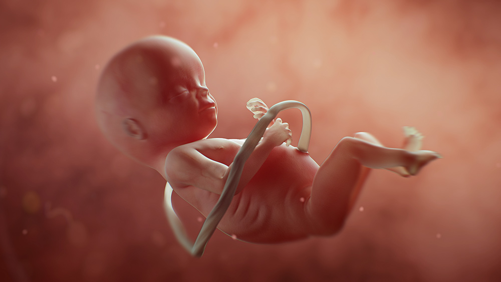 Image: The Zelenko Report: Pro-life movement must start with the unborn baby, says Willy Guardiola – Brighteon.TV