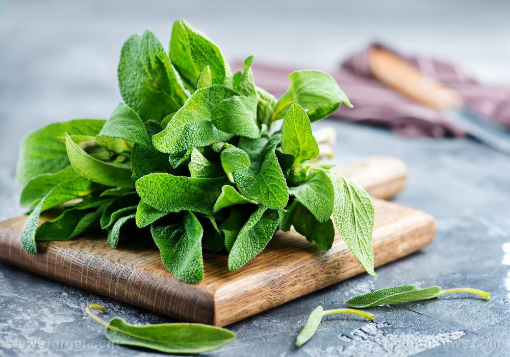 Image: Prepper medicine: How to use sage, a versatile healing herb