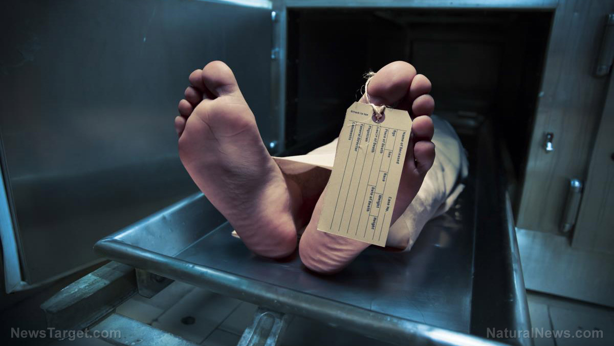 Image: Aussie scientist promotes ASSISTED SUICIDE in Scotland using DIY death pods
