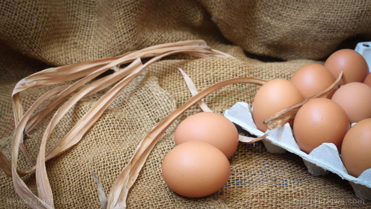 Image: Two UK supermarkets now limiting customers’ egg purchases due to food industry supply chain issues