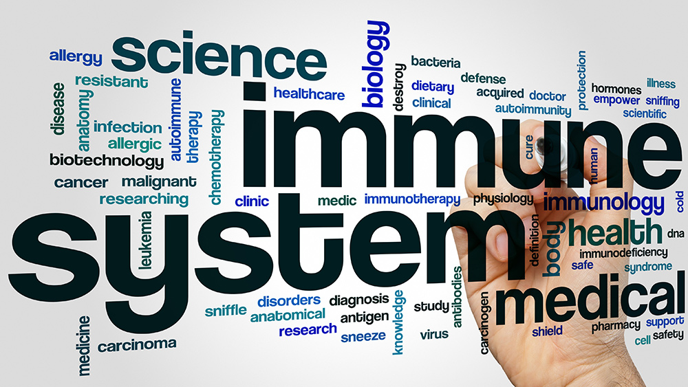 Image: Immunologist Dr. Jenna Macciochi: The immune system is your greatest health asset