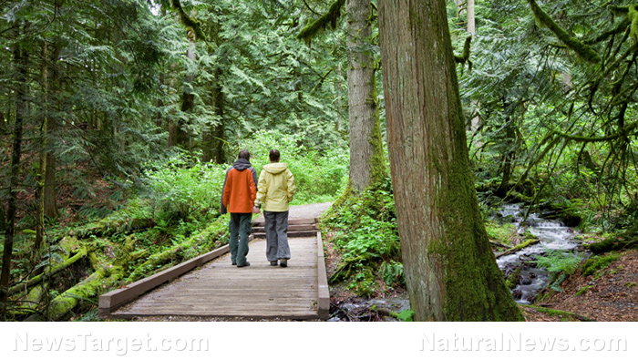 Image: Study: Walking at least 10,000 steps a day reduces risk of dementia by as much as 50%