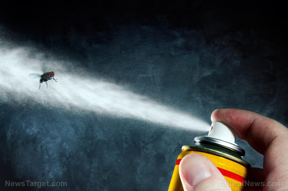 Image: Toxic chemical in commercial cleaning products and bug sprays linked to arthritis