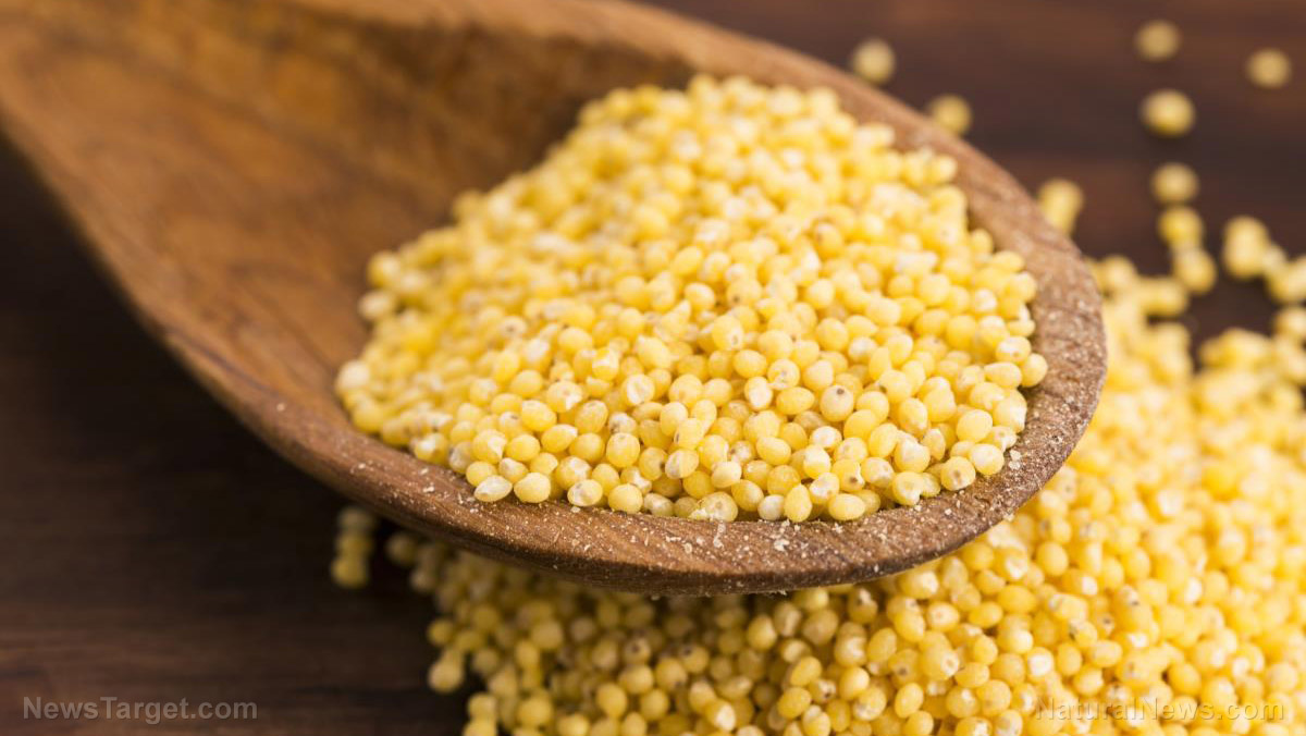 Image: Here’s why you should eat more millet, a superfood packed with protein and fiber