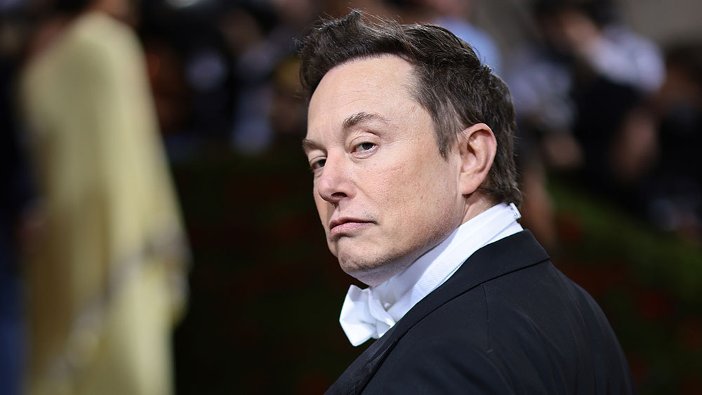 Image: Elon Musk Blasts WEF: ‘Unelected world government the people never asked for and don’t want’