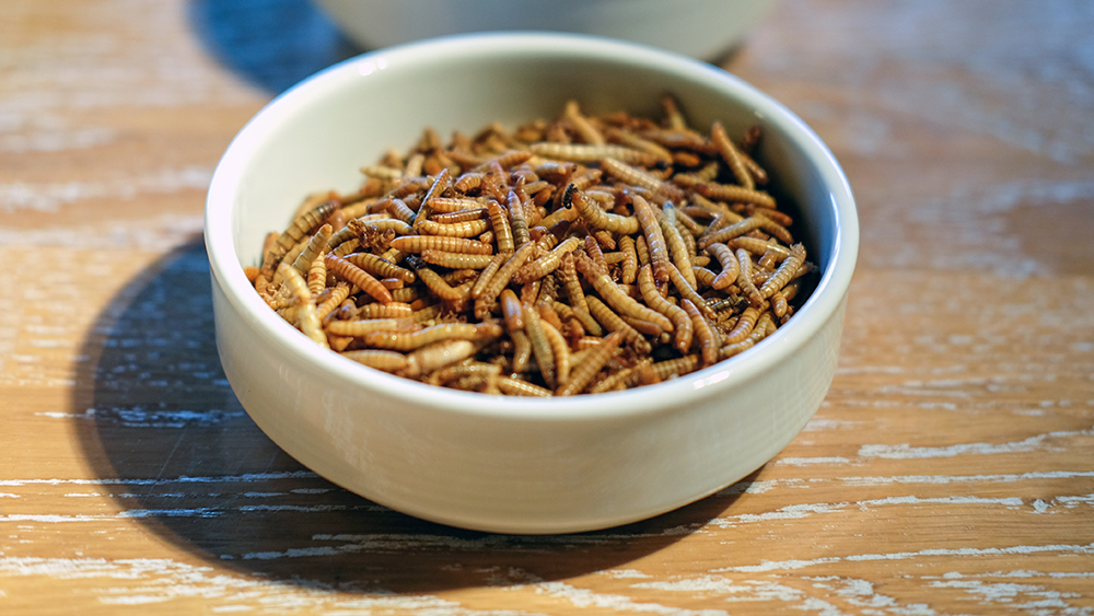 Image: First bite: Soft serve ice cream with mealworm topping debuts in Sweden