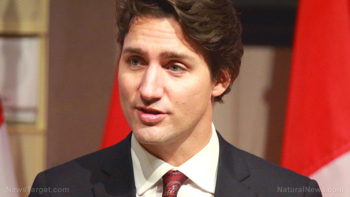 Image: Trudeau gov’t to fund $75k of trans surgeries for each federal employee