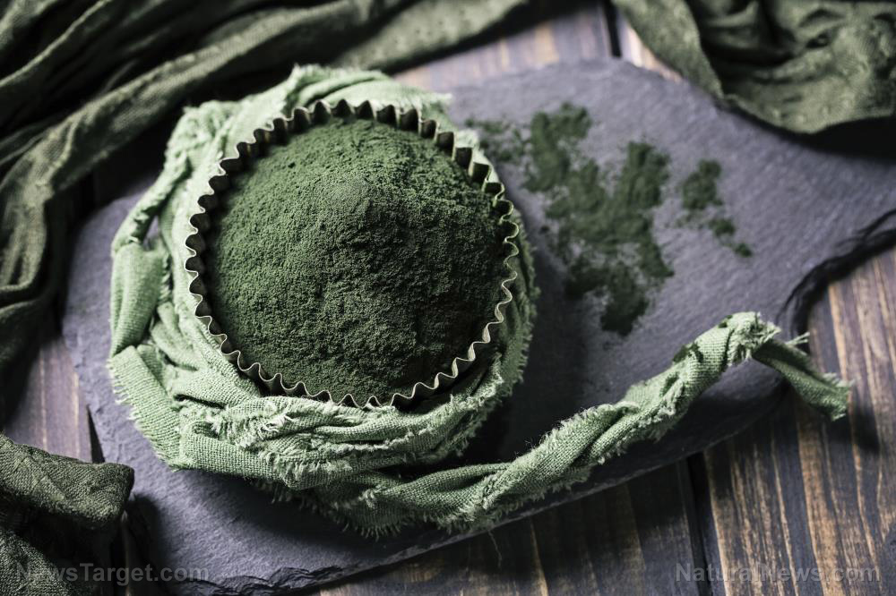 Spirulina protects against COVID death, study finds