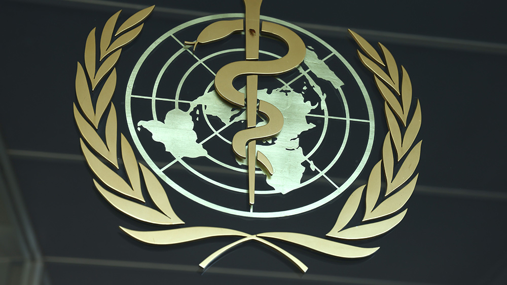 Is the WHO Pandemic Treaty a red herring designed to deceive?