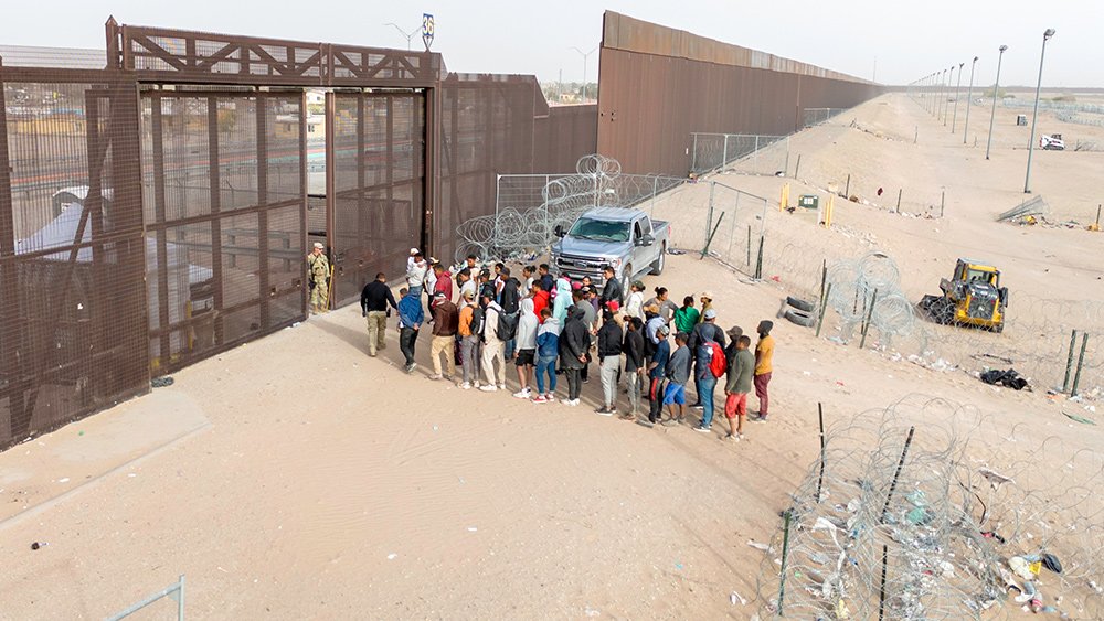 Guess what? Illegal immigration is a RICO offense. Is it time to lock up the Harris/Biden regime? – NaturalNews.com