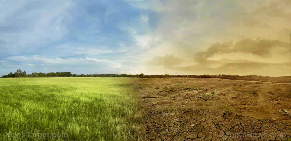 Rare RAIN DELUGE in Sahara Desert creating green, blue oases on land that had long been just sand