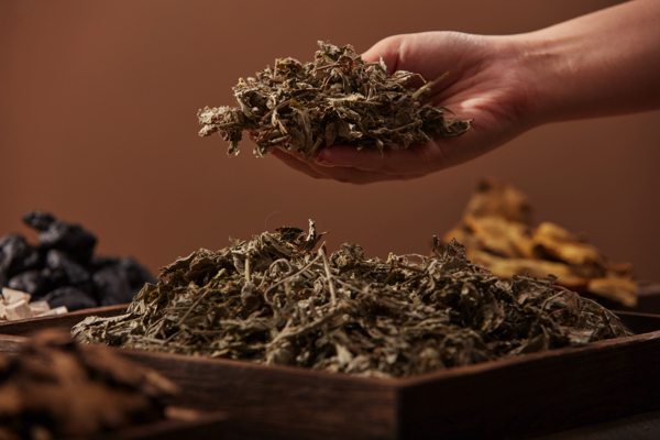 Wormwood: Bitter herb with potent medicinal properties