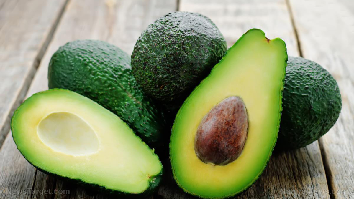 The top 4 healing properties of avocados – NaturalNews.com