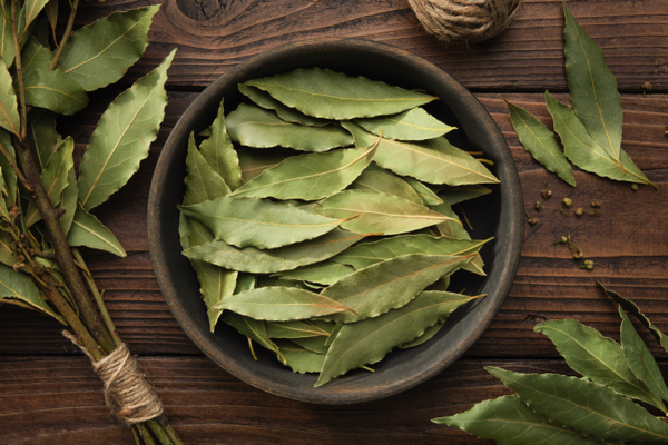 Bay laurel leaf: A kitchen staple with an array of health benefits