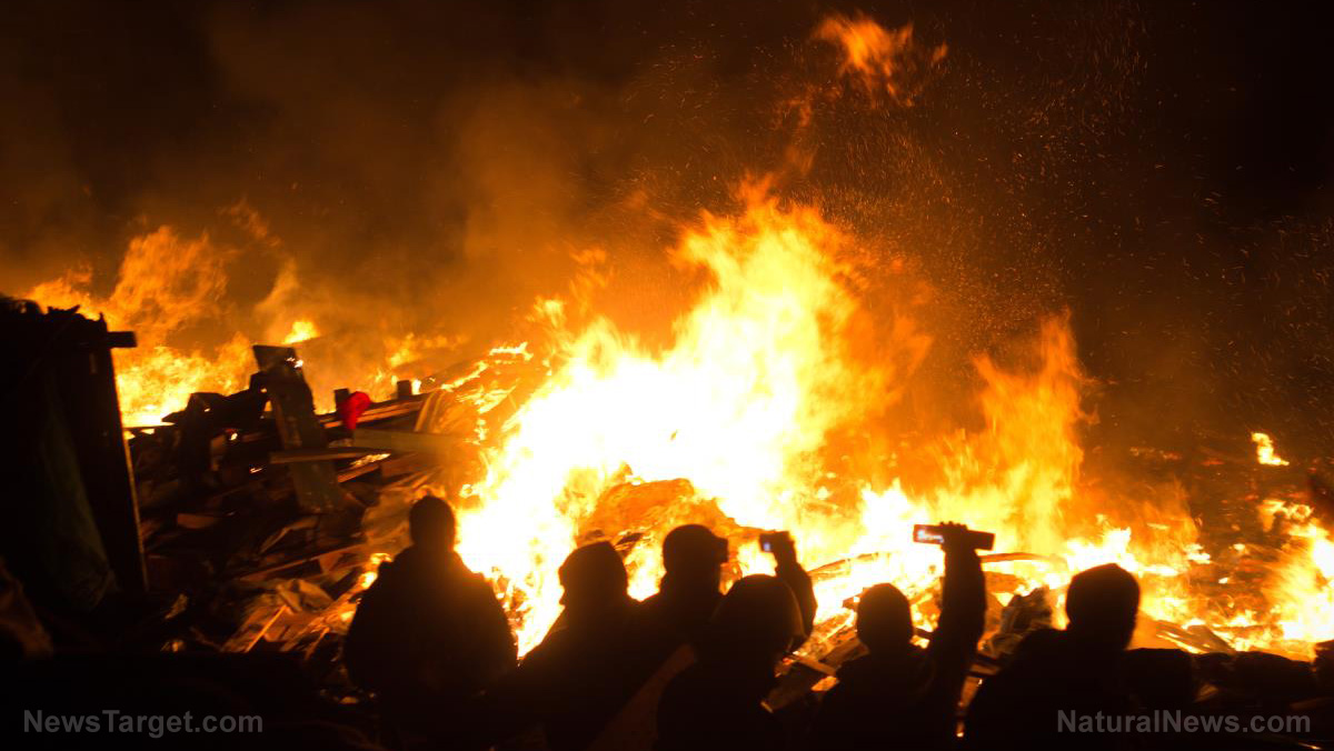 Israeli hooligans provoke clashes in Amsterdam after chanting anti-Palestinian slogans