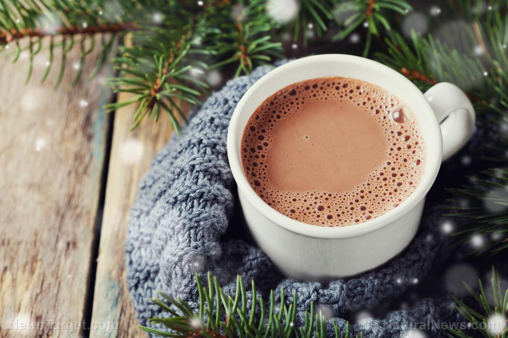 Enjoy a delicious cup of HOT COCOA, an energizing superfood bursting with antioxidants