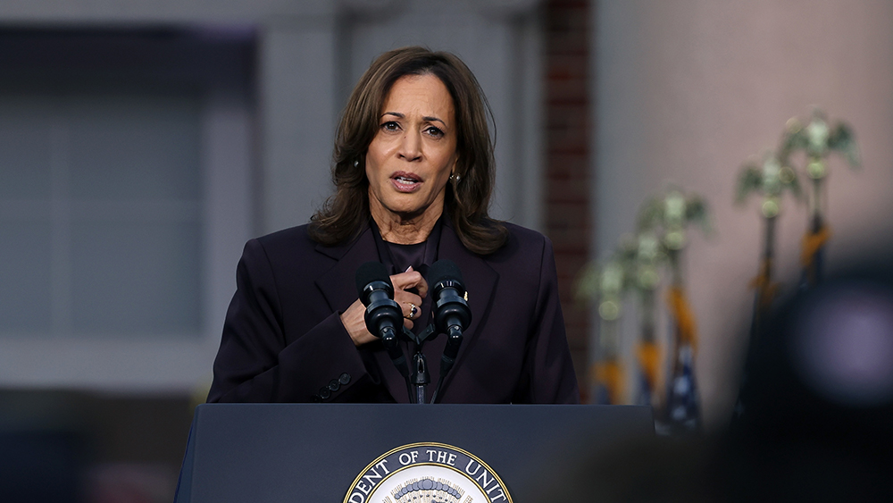 Former Clinton administration consultant blasts Kamala Harris as SORE LOSER