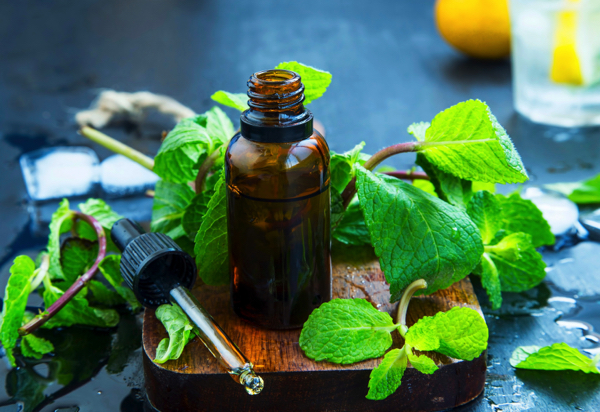 Mint: The ancient herb that refreshes, soothes and heals