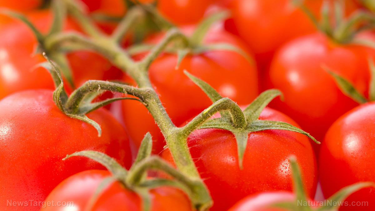 Hereâ€™s what eating tomatoes every day can do for you