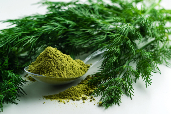 Science-backed health benefits of the ancient herb DILL