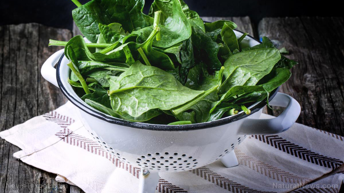 The epic journey of sauteed spinach with garlic, a nutritious holiday side dish