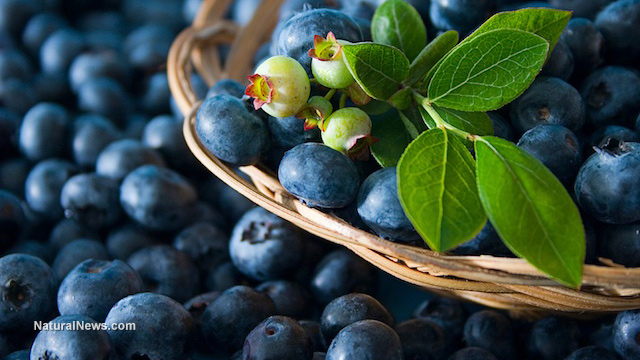 Top antioxidant foods to combat oxidative stress from air pollution