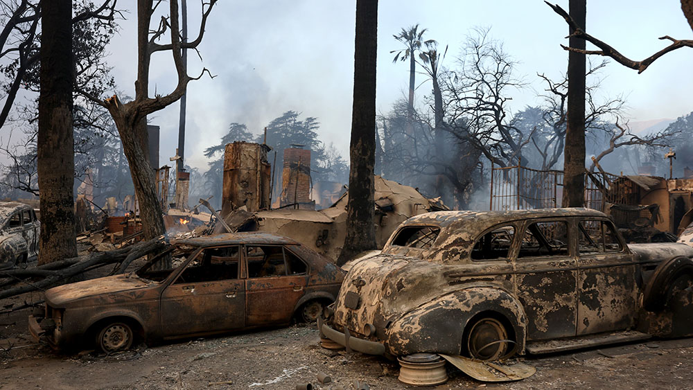 Woke DEI + green nihilism = Dresden in California