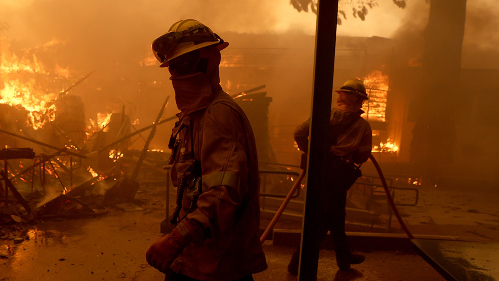 Armageddon: While Cali burns to the ground, thugs are looting like bansheesâ€¦