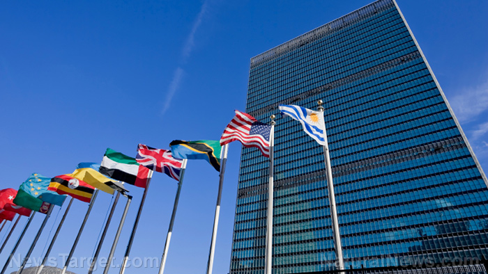 ABSURD: UN calls for widespread adoption of digital ID systems to combat climate change