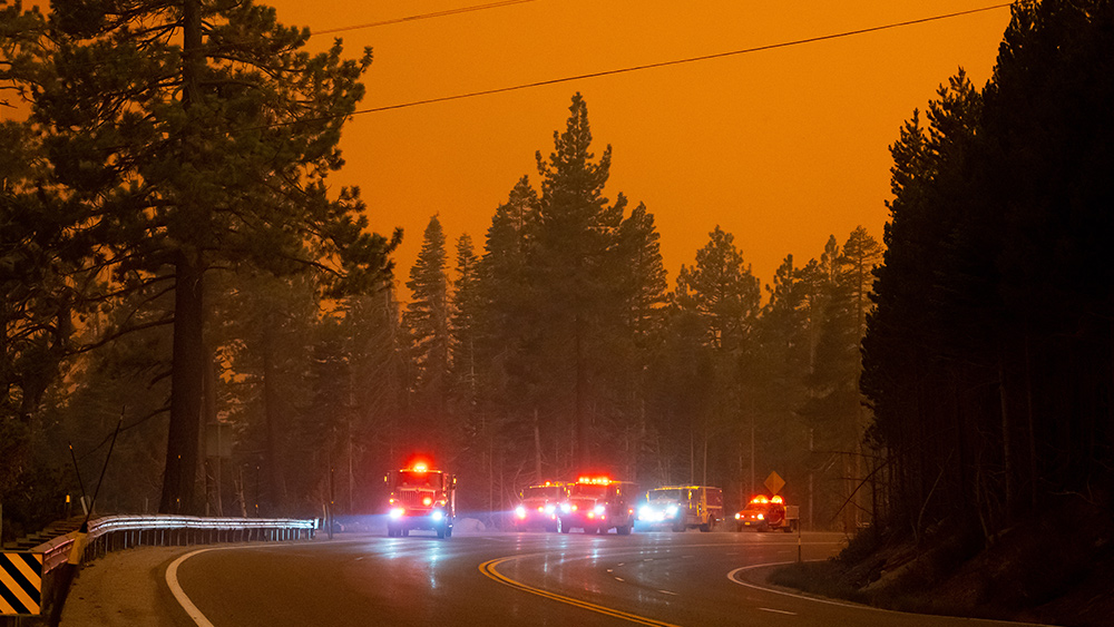 A CITY IN FLAMES: Los Angeles mourns as wildfires claim homes, memories and lives