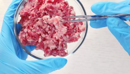 Backlash against lab-grown meat inside and outside the U.S. signals growing resistance to FAKE FOOD