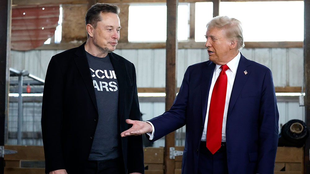 Deranged leftists call for violence, assassination of Musk and Trump