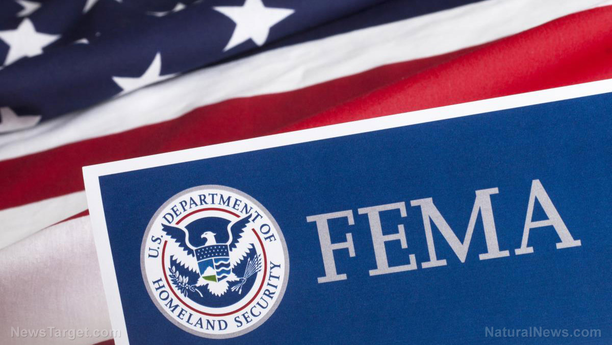 FEMA spends $59M on luxury hotels for illegal immigrants as disaster victims suffer