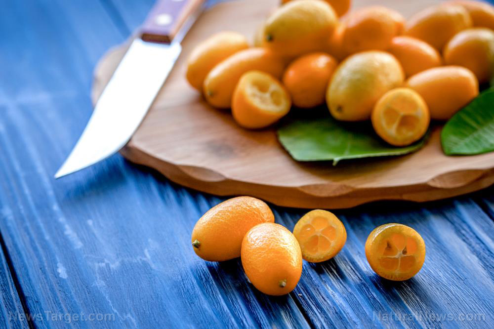 Kumquat: The tiny citrus powerhouse with big health benefits