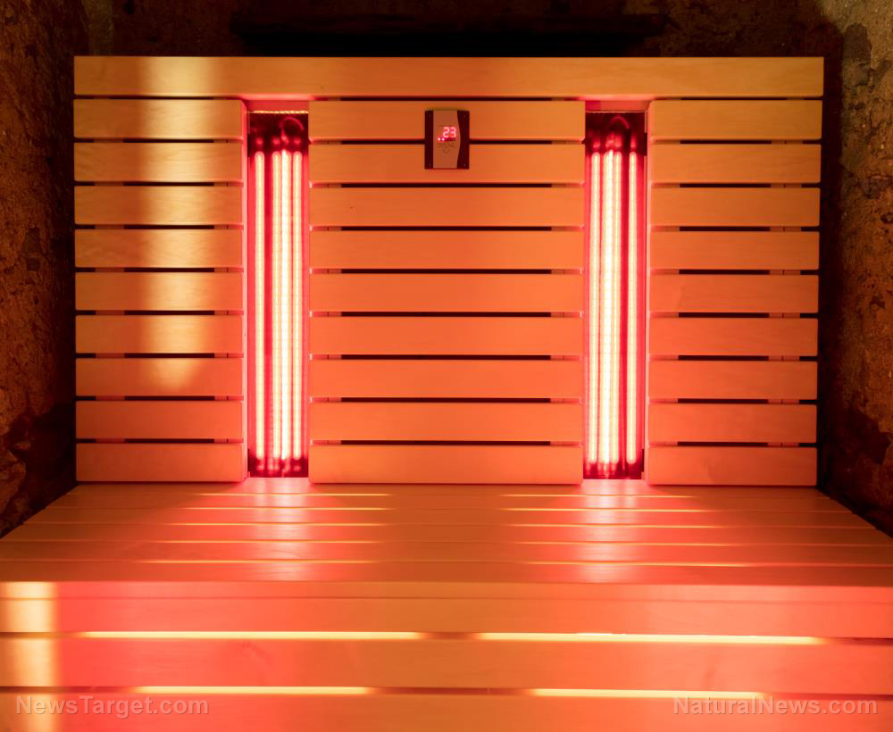 Ari Whitten explains how to harness the power of light for health and wellness in &#8220;The Ultimate Guide to Red Light Therapy&#8221;