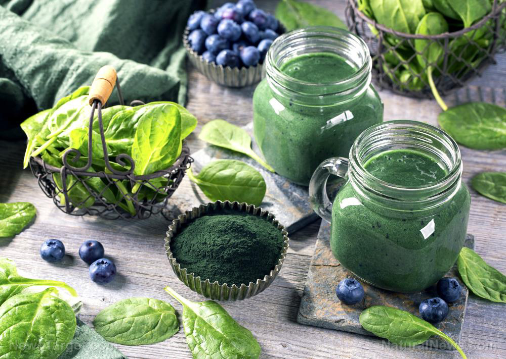 Seasonal greens powders to help you maintain optimal winter nutrition