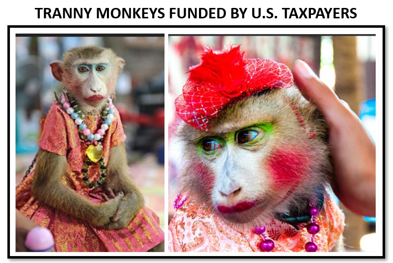 Freak show DC Dems spent 0 MILLION to turn MONKEYS and RATS GAY by surgical mutilation and castration drugs – NaturalNews.com